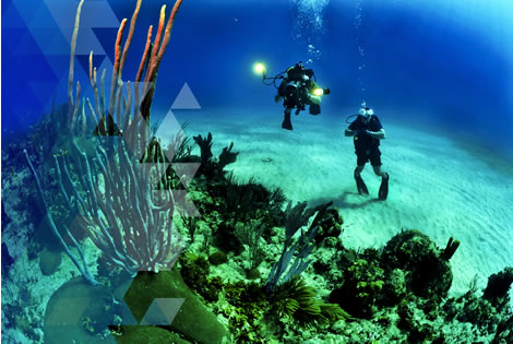 diving-1s